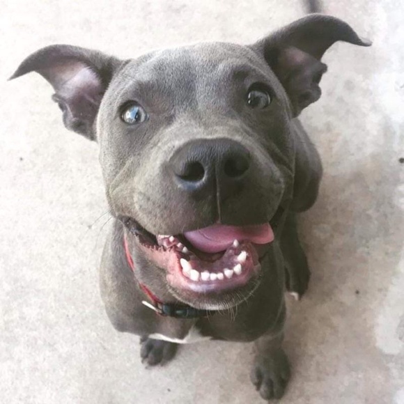 Meet your Posher, Madison - Picture 1 of 1